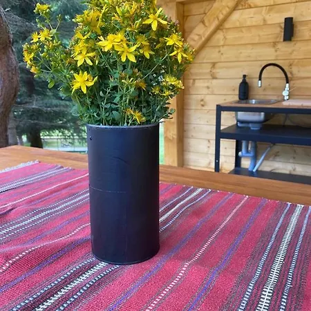 Шале Hugo Jaraba