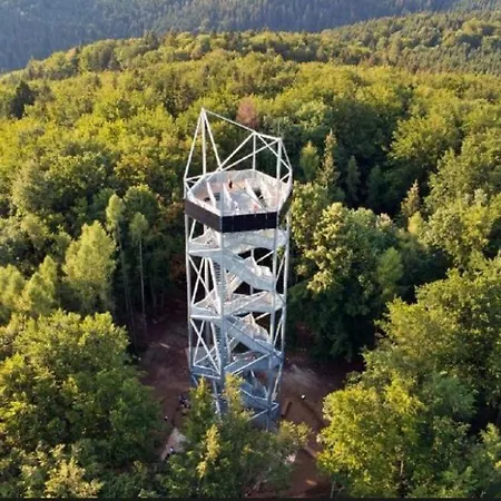 Hugo Шале Jaraba